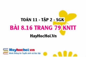 Bài 8.16 trang 79 Toán 11 tập 2 Kết nối tri thức